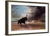 Elephant in Shallow Waters of Shire River, 1859-Thomas Baines-Framed Giclee Print