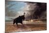 Elephant in Shallow Waters of Shire River, 1859-Thomas Baines-Mounted Giclee Print