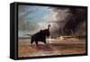 Elephant in Shallow Waters of Shire River, 1859-Thomas Baines-Framed Stretched Canvas