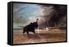 Elephant in Shallow Waters of Shire River, 1859-Thomas Baines-Framed Stretched Canvas