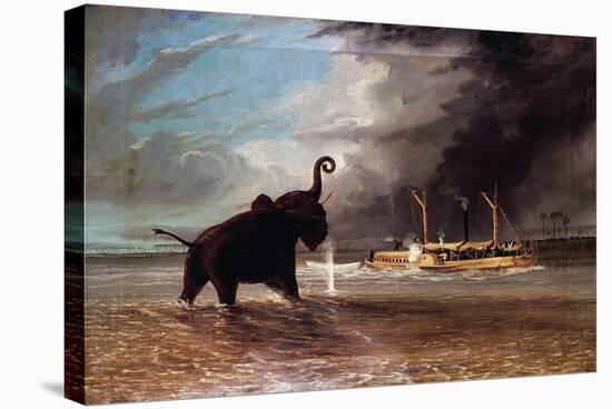 Elephant in Shallow Waters of Shire River, 1859-Thomas Baines-Stretched Canvas
