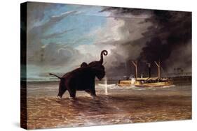 Elephant in Shallow Waters of Shire River, 1859-Thomas Baines-Stretched Canvas