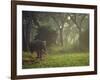 Elephant in the Early Morning Mist Feeding on Water Hyacinths, Mana Pools, Zimbabwe-John Warburton-lee-Framed Photographic Print