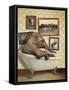 Elephant in Tub-J Hovenstine Studios-Framed Stretched Canvas