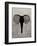 Elephant - Jethro Wilson Contemporary Wildlife Print-Jethro Wilson-Framed Art Print