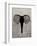 Elephant - Jethro Wilson Contemporary Wildlife Print-Jethro Wilson-Framed Art Print