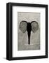 Elephant - Jethro Wilson Contemporary Wildlife Print-Jethro Wilson-Framed Giclee Print