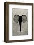 Elephant - Jethro Wilson Contemporary Wildlife Print-Jethro Wilson-Framed Giclee Print