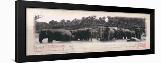 Elephant Journal-Malcom Sanders-Framed Art Print