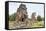 Elephant King Terrace in Angkor Thom-Michael Nolan-Framed Stretched Canvas