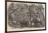 Elephant Kraal, Island of Ceylon-null-Framed Giclee Print