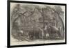 Elephant Kraal, Island of Ceylon-null-Framed Giclee Print