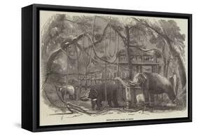 Elephant Kraal, Island of Ceylon-null-Framed Stretched Canvas