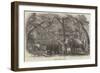 Elephant Kraal, Island of Ceylon-null-Framed Giclee Print