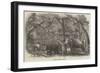 Elephant Kraal, Island of Ceylon-null-Framed Giclee Print