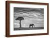 Elephant Landscape-Mario Moreno-Framed Photographic Print