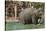 Elephant, Lincoln Park Zoo-null-Stretched Canvas