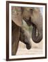 Elephant (Loxodonta Africana) and Baby, Addo Elephant National Park, Eastern Cape, South Africa-Ann & Steve Toon-Framed Photographic Print