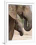 Elephant (Loxodonta Africana) and Baby, Addo Elephant National Park, Eastern Cape, South Africa-Ann & Steve Toon-Framed Photographic Print