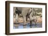 Elephant (Loxodonta Africana) Calf at Water, Addo Elephant National Park, South Africa, Africa-Ann and Steve Toon-Framed Photographic Print