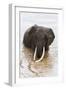 Elephant (Loxodonta Africana) in the River, Masai Mara National Reserve, Kenya, East Africa, Africa-Ann and Steve Toon-Framed Photographic Print