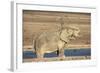 Elephant (Loxodonta Africana) Mudbathing, Etosha National Park, Namibia, Africa-Ann and Steve Toon-Framed Photographic Print