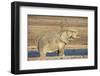 Elephant (Loxodonta Africana) Mudbathing, Etosha National Park, Namibia, Africa-Ann and Steve Toon-Framed Photographic Print