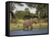 Elephant, Loxodonta Africana, with Waterbuck, at Water in Kruger National Park-Steve & Ann Toon-Framed Stretched Canvas