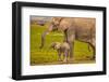 Elephant Mother and Calf, Amboseli National Park, Africa-John Wilson-Framed Photographic Print