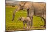 Elephant Mother and Calf, Amboseli National Park, Africa-John Wilson-Mounted Photographic Print