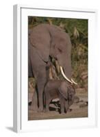 Elephant Mother Watching Baby-DLILLC-Framed Photographic Print