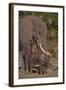 Elephant Mother Watching Baby-DLILLC-Framed Photographic Print