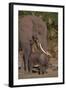 Elephant Mother Watching Baby-DLILLC-Framed Photographic Print