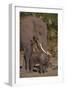 Elephant Mother Watching Baby-DLILLC-Framed Photographic Print