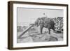 Elephant Moves Huge Logs for Indian Master and Stack Them in Piles-null-Framed Art Print