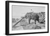 Elephant Moves Huge Logs for Indian Master and Stack Them in Piles-null-Framed Art Print