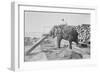 Elephant Moves Huge Logs for Indian Master and Stack Them in Piles-null-Framed Art Print