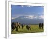 Elephant, Mt. Kilimanjaro, Masai Mara National Park, Kenya-Peter Adams-Framed Photographic Print