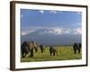 Elephant, Mt. Kilimanjaro, Masai Mara National Park, Kenya-Peter Adams-Framed Photographic Print