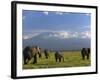 Elephant, Mt. Kilimanjaro, Masai Mara National Park, Kenya-Peter Adams-Framed Photographic Print