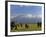 Elephant, Mt. Kilimanjaro, Masai Mara National Park, Kenya-Peter Adams-Framed Photographic Print