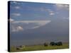 Elephant, Mt. Kilimanjaro, Masai Mara National Park, Kenya-Peter Adams-Stretched Canvas