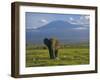 Elephant, Mt. Kilimanjaro, Masai Mara National Park, Kenya-Peter Adams-Framed Premium Photographic Print