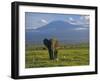 Elephant, Mt. Kilimanjaro, Masai Mara National Park, Kenya-Peter Adams-Framed Premium Photographic Print