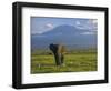 Elephant, Mt. Kilimanjaro, Masai Mara National Park, Kenya-Peter Adams-Framed Photographic Print