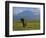 Elephant, Mt. Kilimanjaro, Masai Mara National Park, Kenya-Peter Adams-Framed Photographic Print