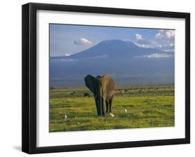 Elephant, Mt. Kilimanjaro, Masai Mara National Park, Kenya-Peter Adams-Framed Photographic Print