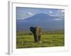 Elephant, Mt. Kilimanjaro, Masai Mara National Park, Kenya-Peter Adams-Framed Photographic Print