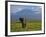 Elephant, Mt. Kilimanjaro, Masai Mara National Park, Kenya-Peter Adams-Framed Photographic Print