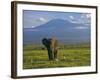 Elephant, Mt. Kilimanjaro, Masai Mara National Park, Kenya-Peter Adams-Framed Photographic Print